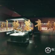 淅川楚墓青铜器 2021