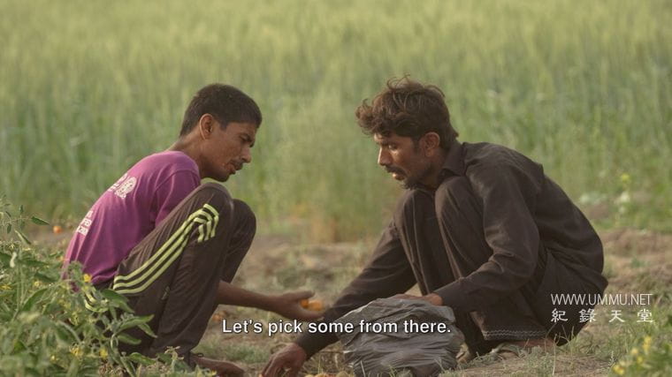 全力奔跑 As Far as They Can Run插图4