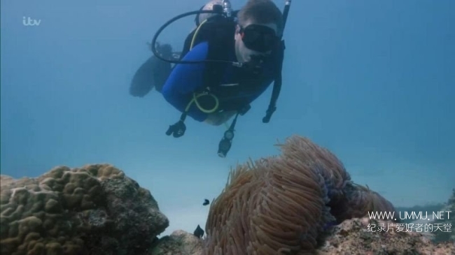 澳大利亚荒野 Australian Wilderness With Ray Mears插图4