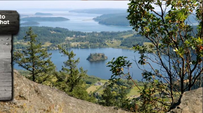 岛屿生活/岛屿寻屋趣  第14季 Island Life插图3