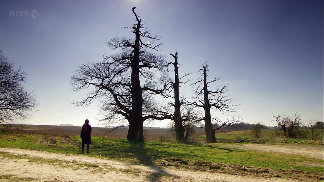 优雅与颓废：摄政时代 Elegance and Decadence: The Age of the Regency插图10