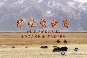 野性蒙古国 Wild Mongolia: Land of Extremes 2018