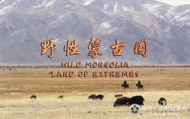 野性蒙古国 Wild Mongolia: Land of Extremes 2018插图