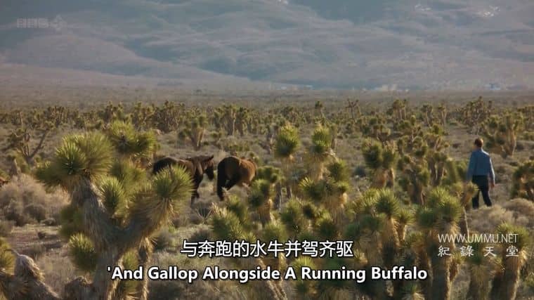 美国游牧民族 American Nomads插图3