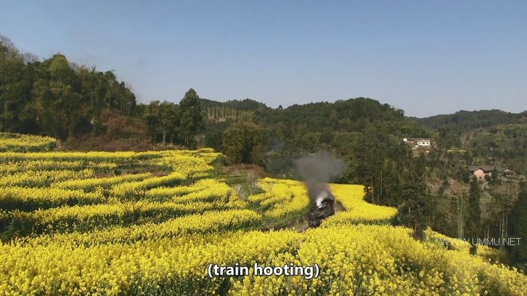 中国最后的小火车 Autentic China's Last Little Train插图2