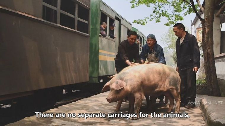 中国最后的小火车 Autentic China's Last Little Train插图3