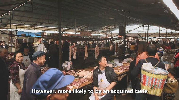 中国最后的小火车 Autentic China's Last Little Train插图6