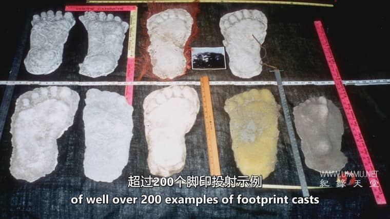 远古外星人 第20季 Ancient Aliens插图2