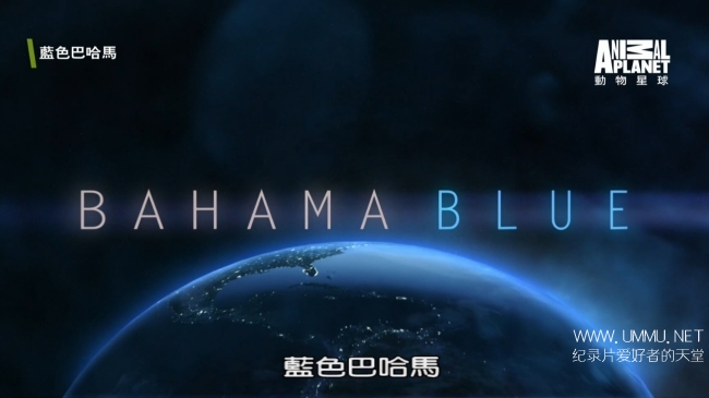 蓝色巴哈马：红树林 Bahama Blue:Mangroves插图1