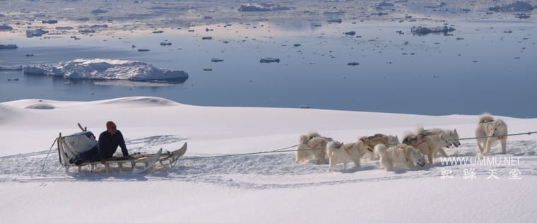 极地一年 A Polar Year插图2