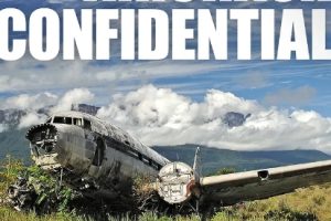 空难事件簿: 波音737之谜  Air Crash Confidential