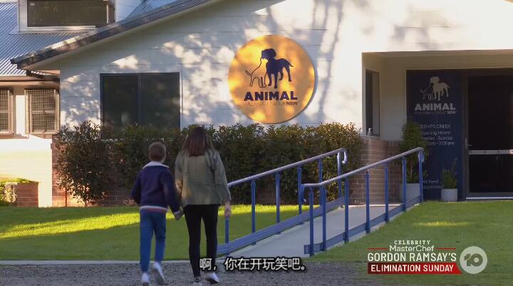 狗狗之家  第5季  The Dog House插图1