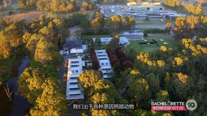 狗狗之家  第5季  The Dog House插图4