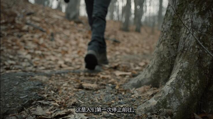 人魔  第5季  Very Scary People插图3