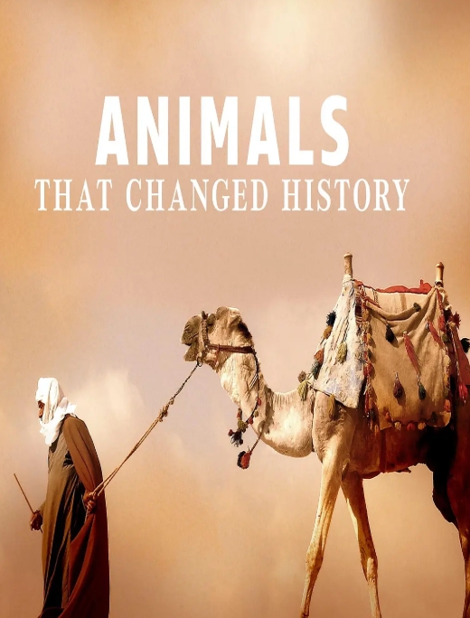 改变历史的动物 Animals that Changed History插图