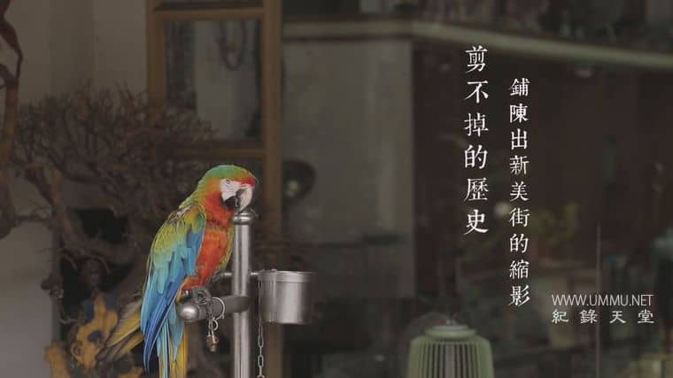 小城光影 One City with 36 Frames插图2