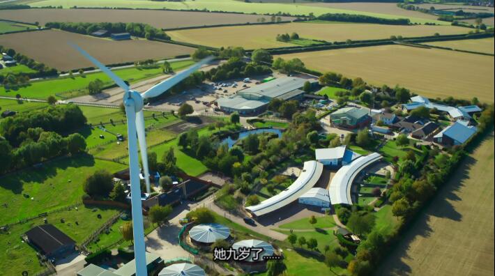 狗狗之家  第3季  The Dog House插图2