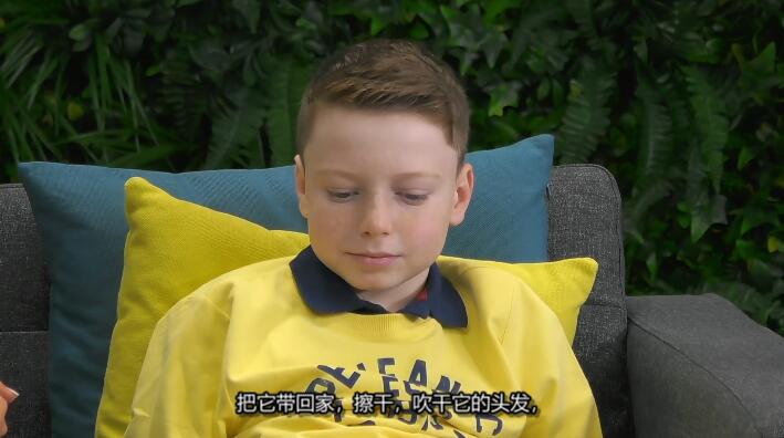 狗狗之家  第2季  The Dog House插图3