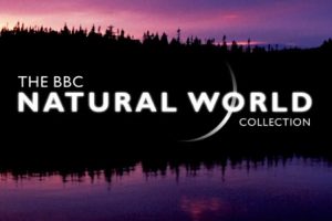 大象洞穴 Elephant Cave