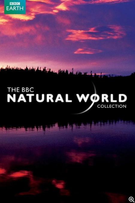 大象洞穴 Elephant Cave插图