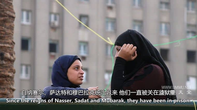 阿玛尔 Amal插图4