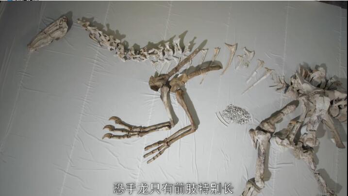 恐龙超世界 第一季插图4