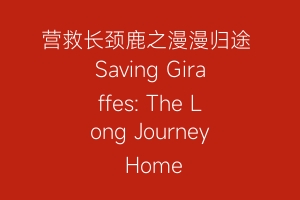 营救长颈鹿之漫漫归途 Saving Giraffes: The Long Journey Home