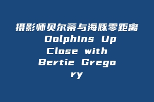 摄影师贝尔蒂与海豚零距离 Dolphins Up Close with Bertie Gregory