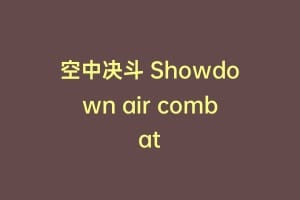 空中决斗 Showdown air combat