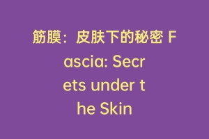 筋膜：皮肤下的秘密 Fascia: Secrets under the Skin