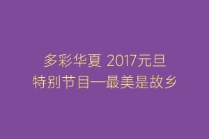 多彩华夏 2017元旦特别节目—最美是故乡