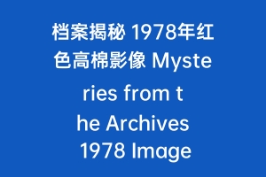 档案揭秘 1978年红色高棉影像 Mysteries from the Archives 1978 Images of the Khmer Rouge 2010