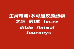 生灵奇旅/不可思议的动物之旅 第1季 Incredible Animal Journeys