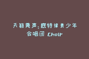 天籁美声：底特律青少年合唱团 Choir