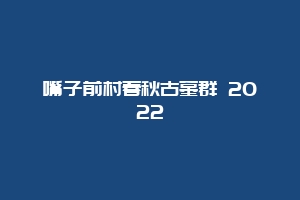 嘴子前村春秋古墓群 2022缩略图 嘴子前村春秋古墓群 2022
