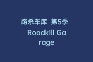 路杀车库  第5季  Roadkill Garage