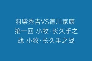 羽柴秀吉VS德川家康 第一回 小牧·长久手之战 小牧·长久手之战