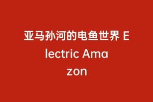 亚马孙河的电鱼世界 Electric Amazon