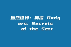 自然世界：狗獾 Badgers: Secrets of the Sett
