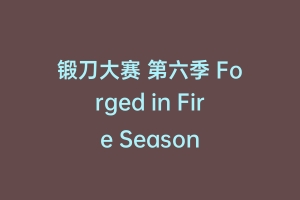 锻刀大赛 第六季 Forged in Fire Season