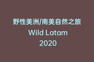 野性美洲/南美自然之旅 Wild Latam 2020