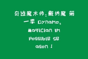 奇迹魔术师：戴纳魔 第一季 Dynamo: Magician Impossible Season 1