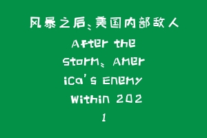 风暴之后：美国内部敌人 After the Storm: America’s Enemy Within 2021