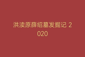 洪渎原薛绍墓发掘记 2020