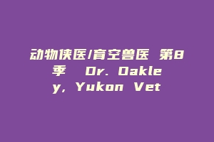 动物侠医/育空兽医 第8季  Dr. Oakley, Yukon Vet