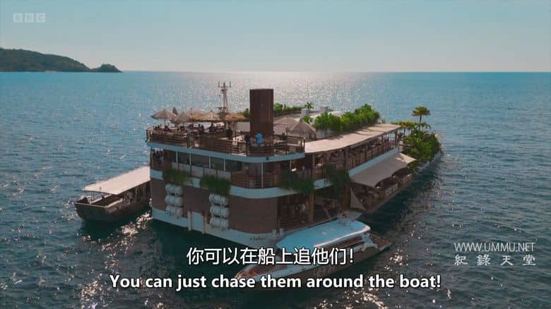 泰国：天堂的另一面 Thailand: The Dark Side of Paradise插图5