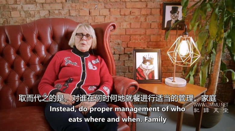 神经质猫咪 2：疯猫来袭 Psycho Pussies 2: Mad Cat Attacks插图4