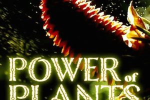 植物的力量 Power of Plants