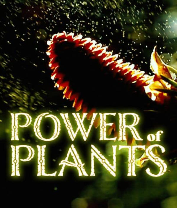 植物的力量 Power of Plants插图