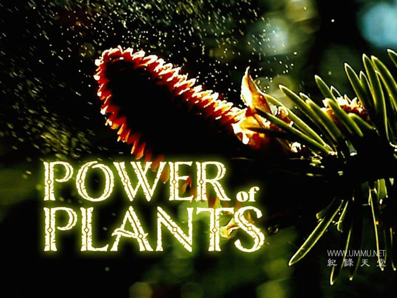 植物的力量 Power of Plants插图1